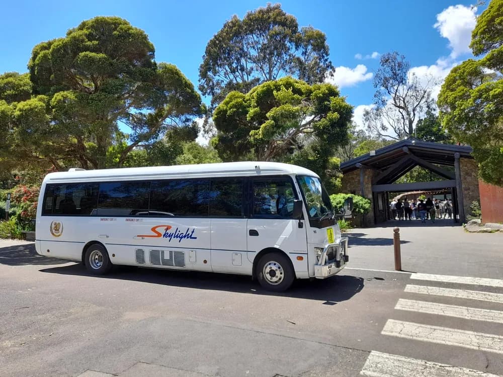 Skylight Buslines midi coaches — 24 seats